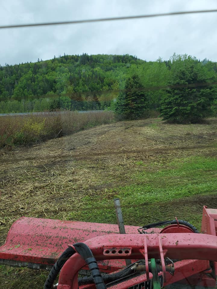 déneigement excavation transport bois chauffage Matane St-René débroussages travaux terrassement sable terre gravier pierre net pelle mécanique location chemin forestier